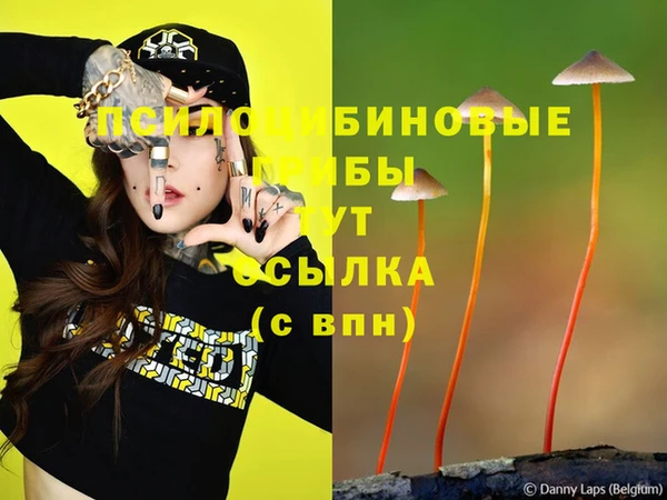 ешки Аркадак