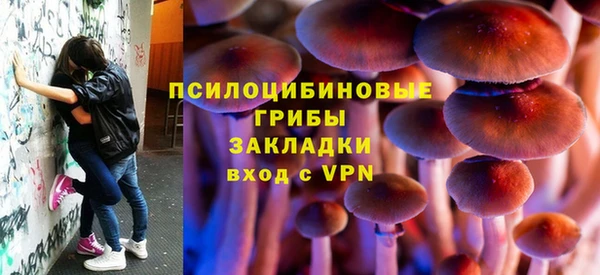 прущие крисы Армянск